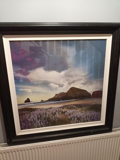 Large Picture