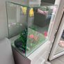 Complete 40L Aquarium Bundle + Wall-Mount Tank & Accessories Image 2