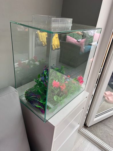 Complete 40L Aquarium Bundle + Wall-Mount Tank & Accessories