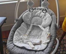 Joie Serina 2-in-1 swing
