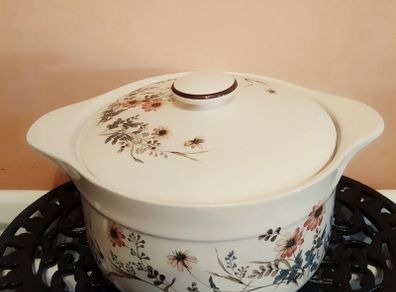 Vintage ARKLOW Honey Stone Glenwood Tureen