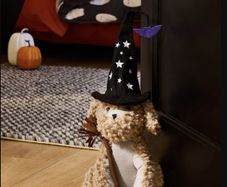 Halloween Decorations
