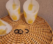 two glass lamp shades