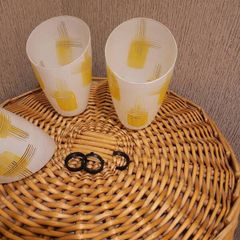 two glass lamp shades