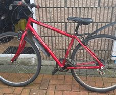Cycle  apollo