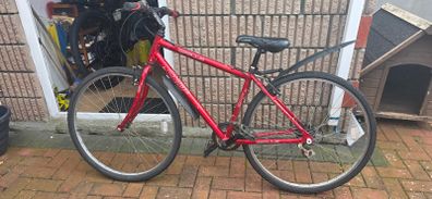 Cycle  apollo