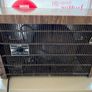 Vintage Coca Cola Kelvinator Countertop Cooler 60's Image 10