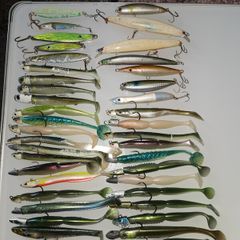 fishing