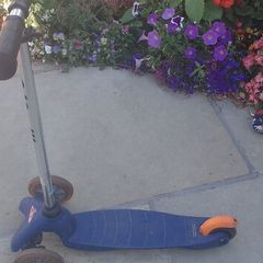 micro scooter