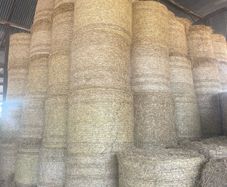 wheaten straw