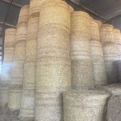 wheaten straw
