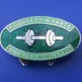 East Dorset & West Hants Dog Training Club (canine training) - vintage membership badge (1950's or earlier) Rare! Image 2
