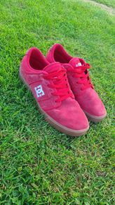 DC Skate Shoes