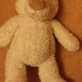 Teddy Image 2