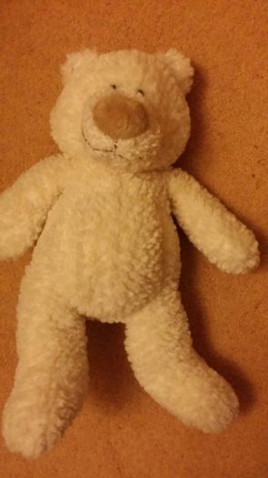 Teddy