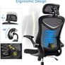 Ergonomic Office Chair Computer Chair with Adjustable Headrest/Lumbar Support, High Back 3D Armrests Home Mesh Chair (Black) Image 6