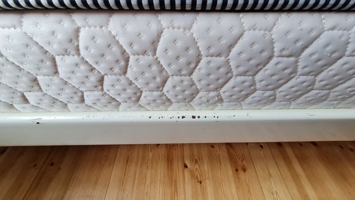 Single bed with mattress