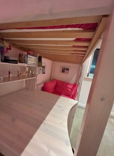 Bunk bed with sofa pull out bed