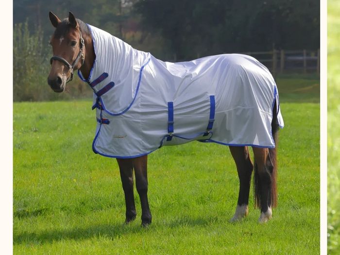 Shires 6ft 3" full neck Fly Rug