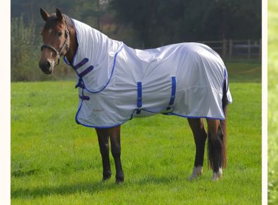 Shires 6ft 3" full neck Fly Rug