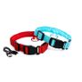 Dog Safety Pack Image 3