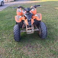 Palaris Quad