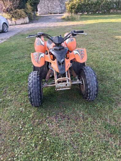 Palaris Quad