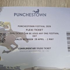 4 flexi tickets for Punchestown Festival