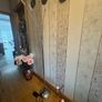 lamp Image 2