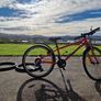 Frog bike 62cm 24inch 8 speed +2 new tyres Image 2