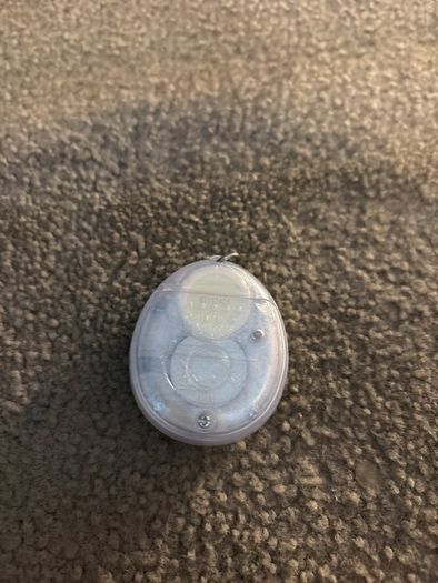 Tamagotchi