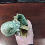 spill vase of young girl Image 8