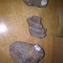 fossils - potentially hundreds of millions of years old Image 5