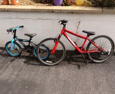 Bicycles x 2 for free