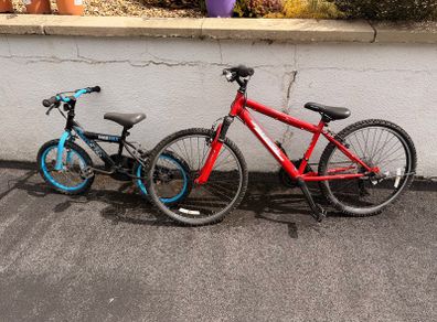Bicycles x 2 for free