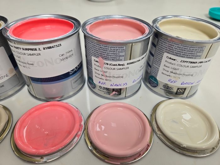 Paint Samples