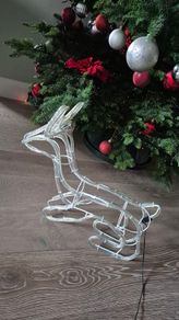 Rope Light Reindeer - Indoor and Outdoor