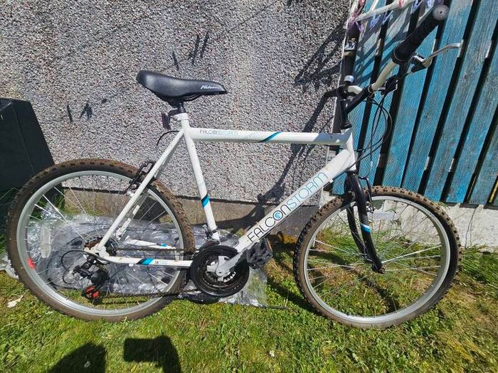 Mans Bike