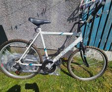 Mans Bike