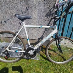 Mans Bike