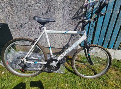 Mans Bike