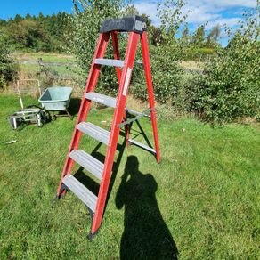 Fibreglass step ladder