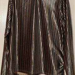 Zara Velvet Strip Top Long Sleeves