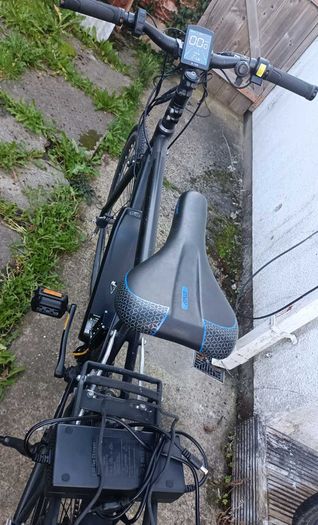 ebike