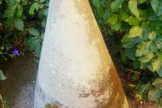 Sandstone cone