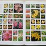 The Royal Horticultural Society New Encyclopedia of Plants and Flowers. Image 5