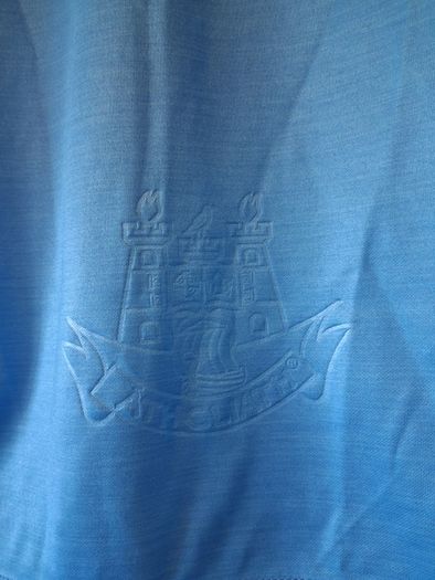 Dublin Jersey.  Official Oneills Dublin GAA Home Jersey.  Youths Boys Girls Age 9 To 10 Years. Collect In Dublin Or Receive Via Post.