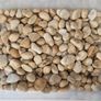 13kg Decorative Plant Pot Topper & Terrarium Stones - 4 Types Image 5