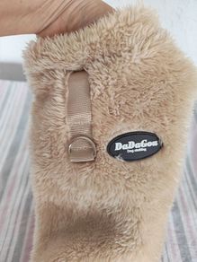dog jacket