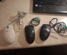 Mice